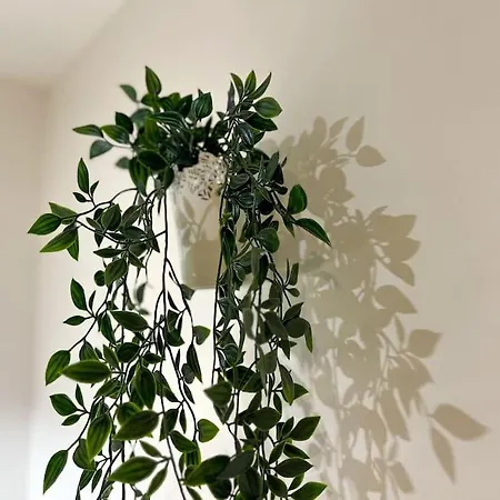 Maison La Feuilleraie-8 Personnes-standing Casa vacanze Fontenay-le-Comte