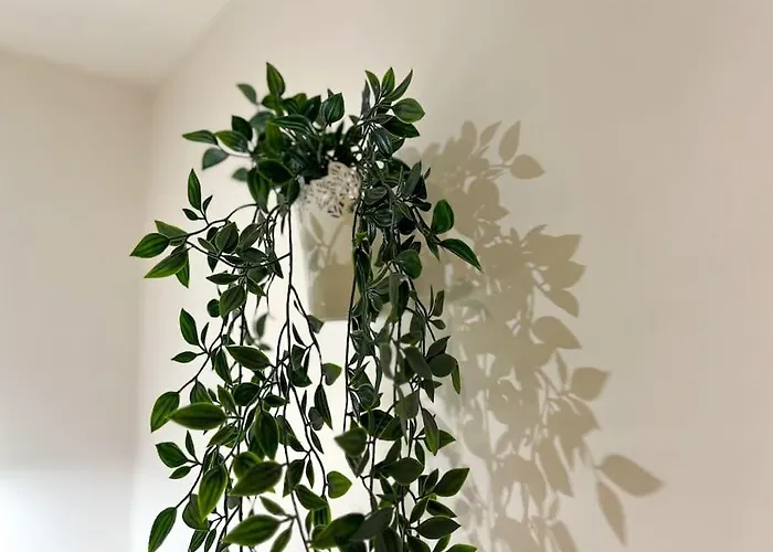 Maison La Feuilleraie-8 Personnes-standing بيت للعطل فونتيناي لو كومت