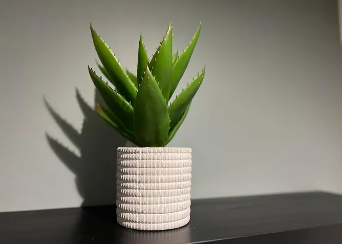 Maison La Feuilleraie-8 Personnes-standing * فونتيناي لو كومت